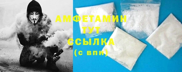 мдпв Кодинск