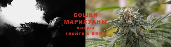 мдпв Кодинск