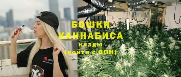 дурь Костерёво