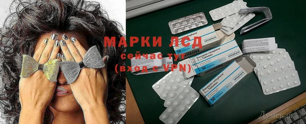 гидропоника Коряжма