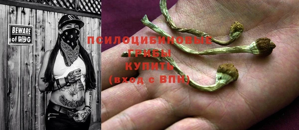 мдпв Кодинск