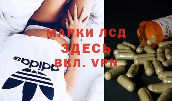 мдпв Кодинск
