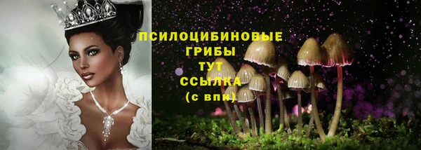 гидропоника Коряжма
