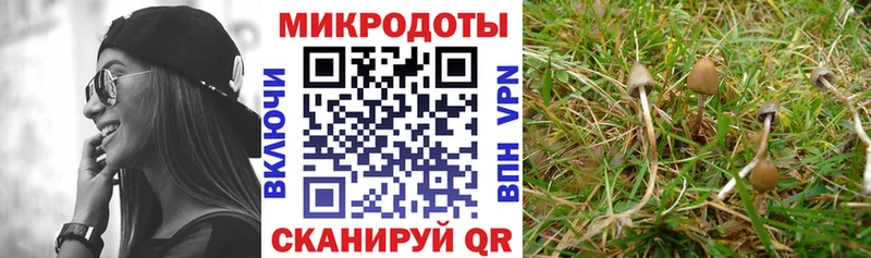 Галлюциногенные грибы мухоморы  Купить  Кораблино 
